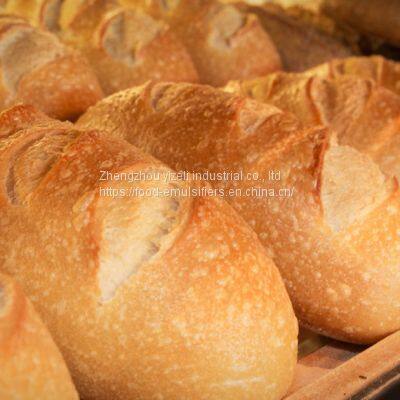 Sodium Stearoyl Lactylate-SSL E481-fine powder for baked products