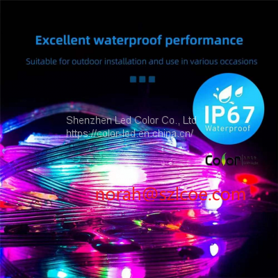 50leds leather string led light strip kit LC8812B WS2812B Multi color changed decoration kit