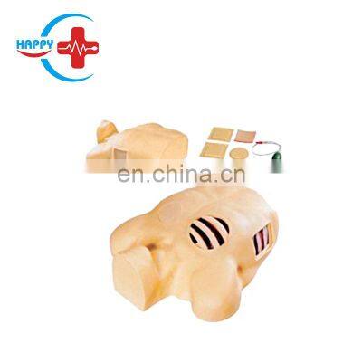 HC-S519 Medical science pleural drainage thoracentesis drainage teaching manikin