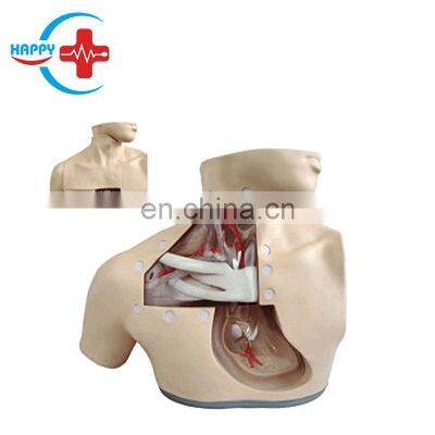 HC-S117 Advanced half-body nursing training model/china medical training manikin parenteral nutrition