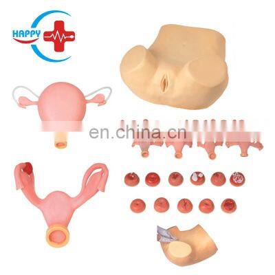 HC-S305 Medical Tanning Advanced gynecological examination model for sale