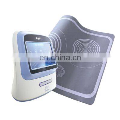 Electric Potential Therapy Mattress Machine with Thermotherapy For Insomnia, Headache, Blood Circulation