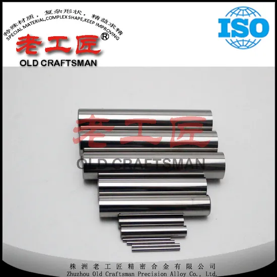 Standard Tungsten Cemented Carbide Pilot Alloy Mandrel Rod for Serdi Valve Seat