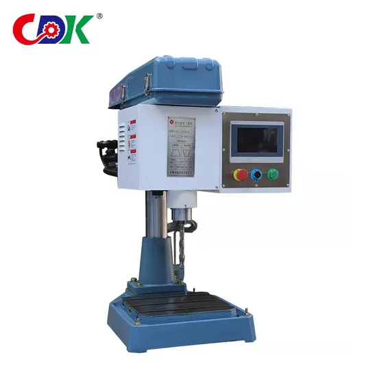 High Efficiency Vertical Automatic Dsz-12 (T) CNC Drilling Machine