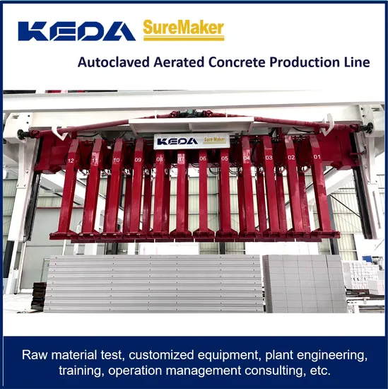 AAC Autoclaved Aerated Concrete Block and Panel /Customized Process Planning