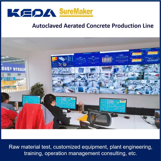 Fly Ash and Sand AAC Blocks Machinery Supplier