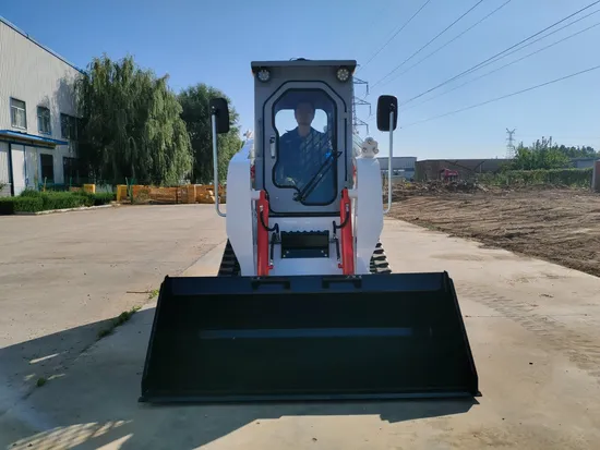 Red Color Green Color Blue Colro White Color to Russia Taian At50 Skid Crawler Loader