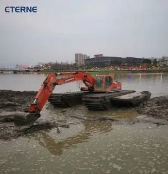Eterne Floating Pontoon Wetland Swamp Buggy Amphibious Excavator Long Reach Arm