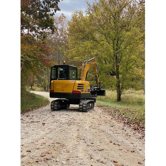 6t New Model Crawler Excavator Sy60c in Costa Rica