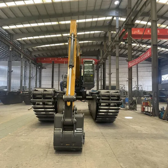 Swamp Buggy Marsh 25t Amphibious Excavator for Lake Dredger/River/Deep Water with Long Arm Reach