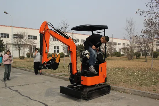 Jingshi Wholesale Compact Household Cheap Crawler Hydraulic Micro Track Digger Machine