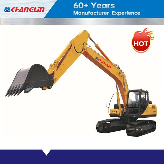 Supply Diecast RC Small Mini Farm Excavator 32ton New Zg330 with Factory Direct Sale Price