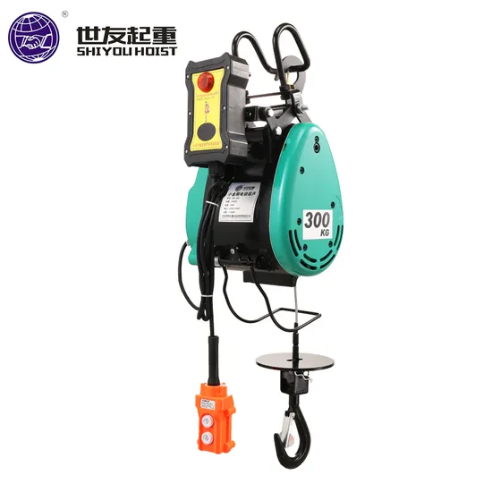 Voltage 220V/110V Electric Wire Rope Electric Hoist