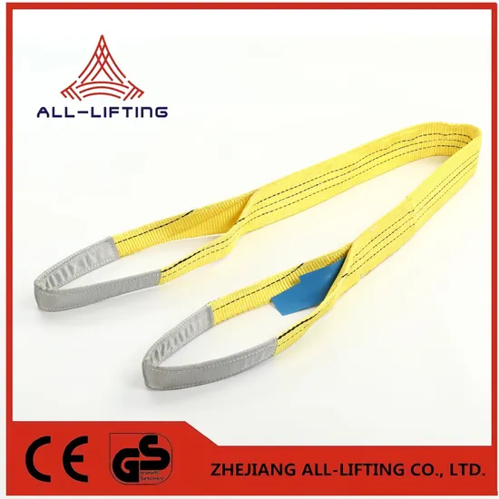 3t 2-Ply Eye-Eye Polyester Flat Webbing Sling for Industrial Lifting