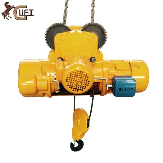 Single or Dual Speed Lifting Equipment of Electric Wire Rope Hoists Construction Machineary Electric Hoist Crane