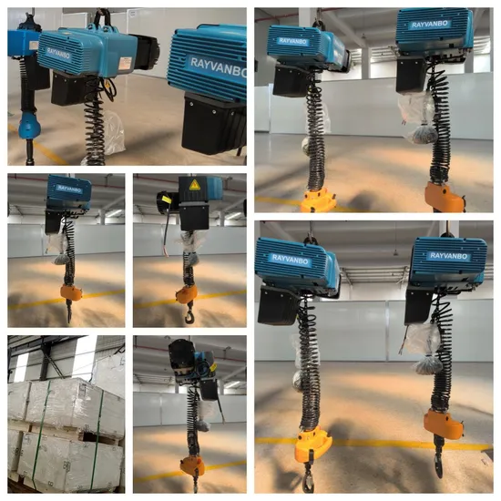 Rayvanbo Fast Shipping Good Quality 250kg Handheld Workstation Intelligent Hoist M6 Electric Hoist