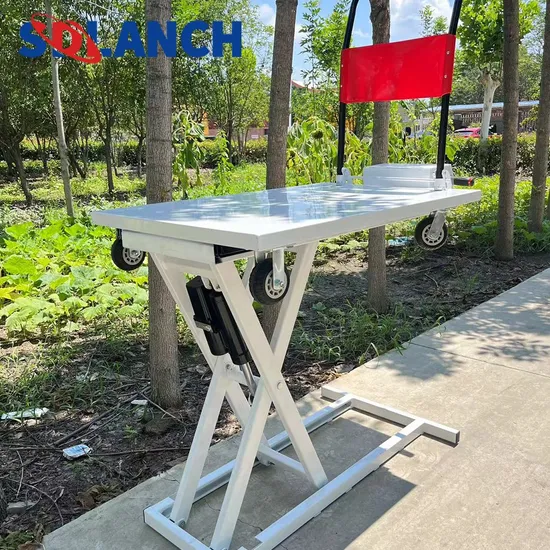 Good Quality 500kg Portable Fixed Custom Standard Hydraulic Electric Cart Lift Table with Trolley