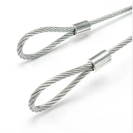 AISI/ASTM/DIN/En/GB/Gis Construction 304 316 Wire Rope Ferrule Lifting Chain Ring Steel Cable Eye Gear Thin Round Sling
