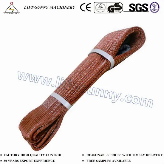 En1492 6t Polyester Webbing Lifting Sling for Lashing and Lifting