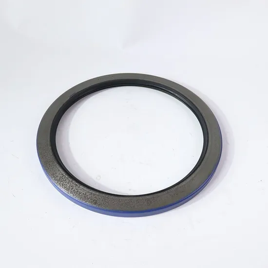 Kalmar 923109.0128 Skeleton Oil Seal for Reach Stacker Parts
