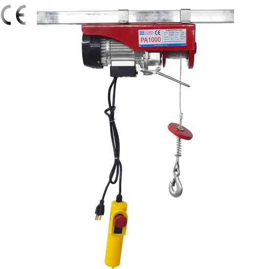 PA 1000 Mini Crane Motor 20 Kg Wire Rope Small Electric Hoist