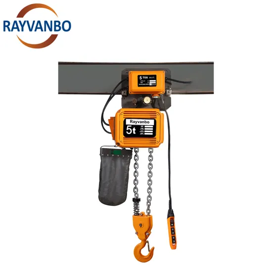 Wholesale Chain Hoist 1 Ton 3 Ton 5 Ton 10 Ton Heavy Load Electric Hoist for Workshop