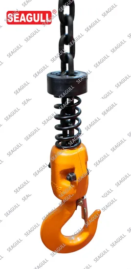 Bridge Single Grinder Seagull/OEM Wooden Case 0.25t-10t Overhead Crane Hoist