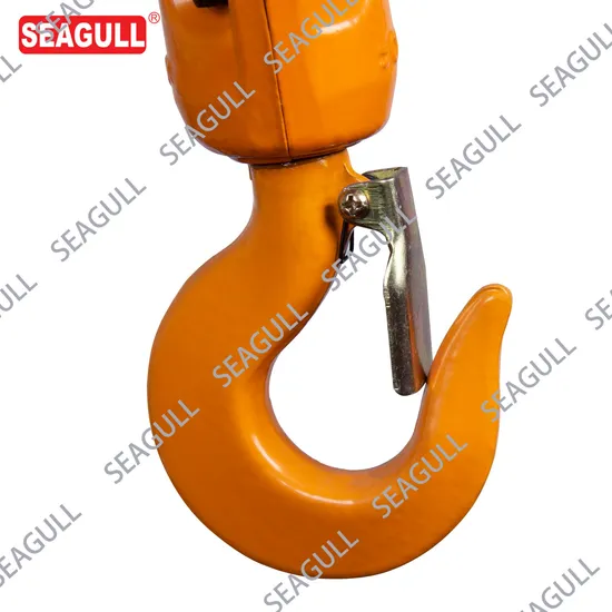 Double Beam Seagull/OEM Wooden Case 0.25t-10t China Overhead Crane with ISO9001: 2000