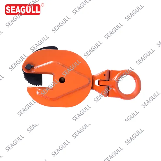 Double Beam Crane > 20m Seagull/OEM Wooden Case Robust Handling Lifting Clamp