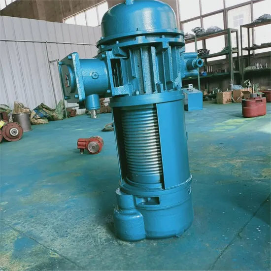 Used High Quality 2-10 Tons Low Headroom Explosion-Proof Hoists for Workshops Chain European Style Electric Crane Hoist