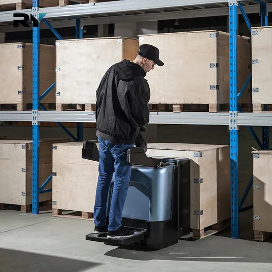 China 1 Year Royal Standard Export Packing Li Battery Pallet Truck Forklift