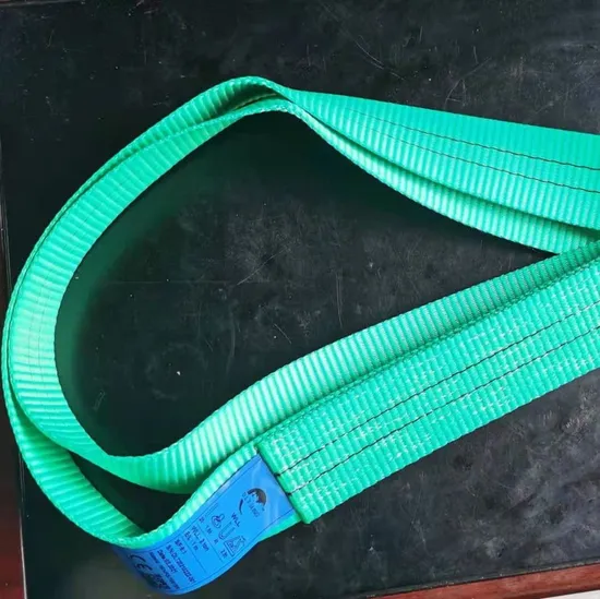 D. L. T Sling Endless Flat Webbing Sling