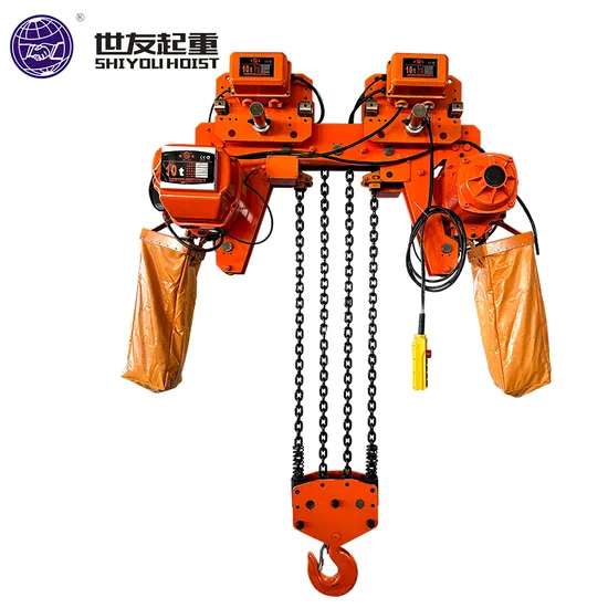 High Efficiency Electric Chain Hoist with Hook for Heavy Loads