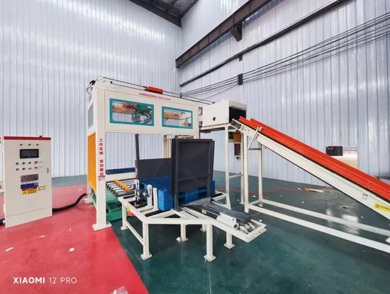 New Tengyang High Pallet Palletizer Robot Full-Automatic Tygw-500