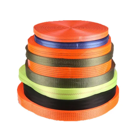 High Quality Polyester Lashing Webbing Sling Material