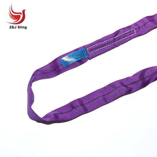 Round Polyester Webbing Sling High Tenacity Lifting Sling Belt