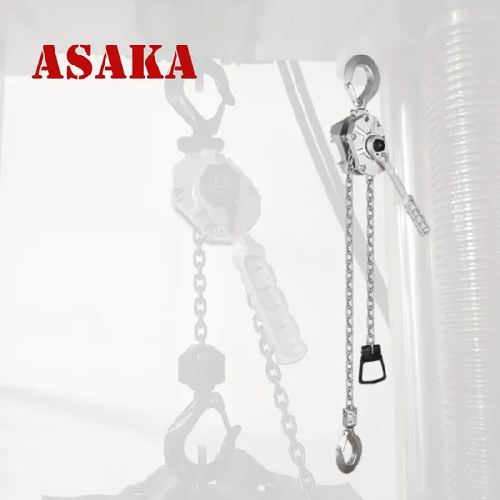 Excellent Performance 6ton Mini Lever Hoist with Best Price