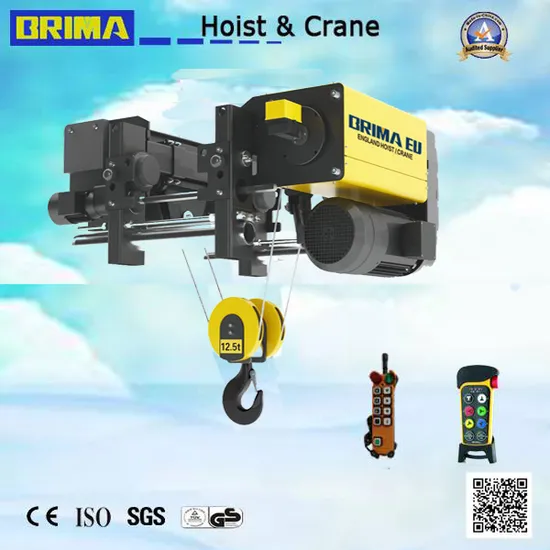 5t 9m Lifting European Single Girder Electric Wire Rope Hoist