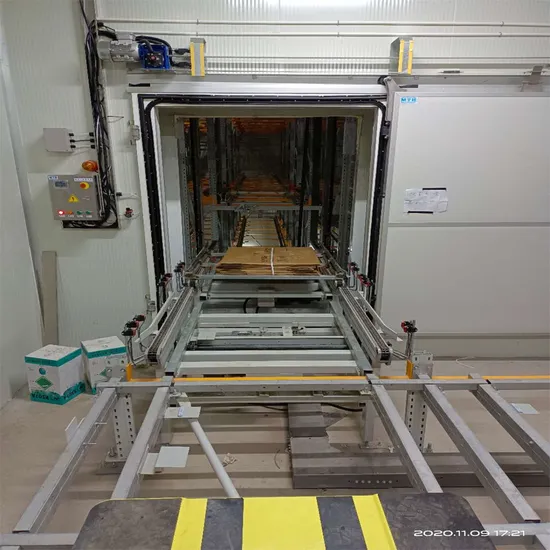 Automatic Asrs Storage System Four Way Shuttle Rack for Warehouse Storage