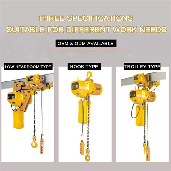 Rayvanbo Chain Hoist Wide Application Hook Type Hhbb Electric Chain Hoist 0.5ton-10ton Polipasto Electrico De Cadena Hhbb