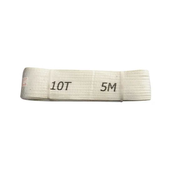 2t 3t 6t Polyester Lifting Web Sling