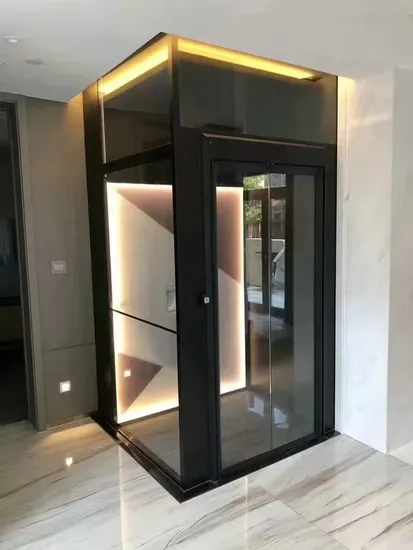 Customized Price for Passenger Elevator Outdoor Home Lift Home Elevator