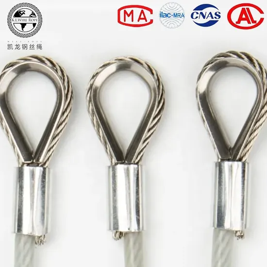 AISI304/316 Stainless Steel Two Eye Loop Wire Rope Sling for Cable Construction