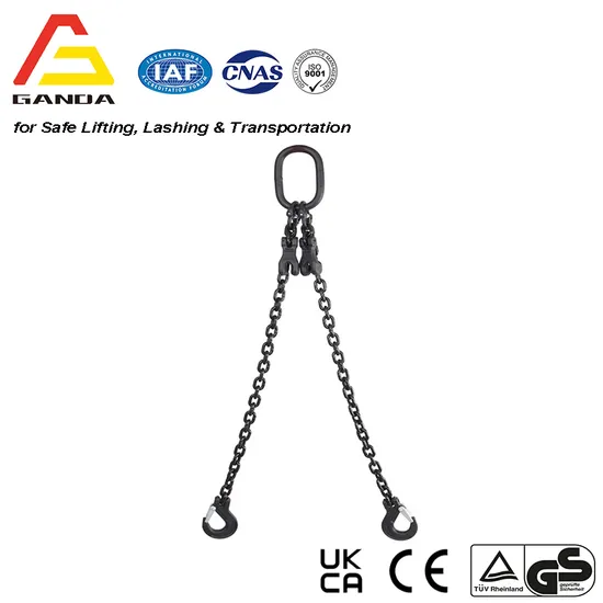 G80 Chain Lifting Sling Two Leg Black Latch Hook